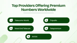 Top Providers Offering Premium Numbers Worldwide.