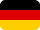 flag icon