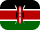 flag icon