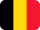 flag icon