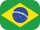 flag icon