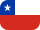 flag icon