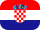 flag icon