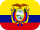 flag icon