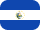 flag icon