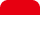 flag icon