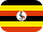 flag icon