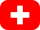 flag icon