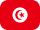 flag icon